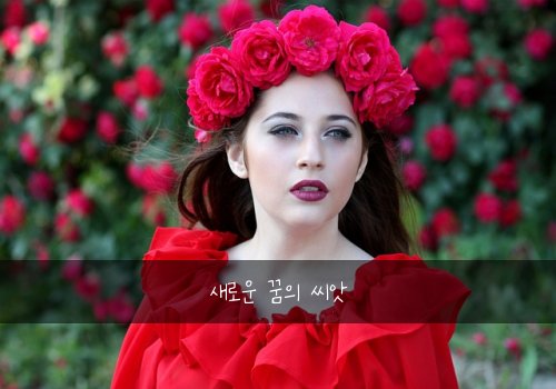 새로운 꿈의 씨앗