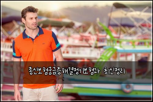 종신보험궁금증해결정기보험과 최신정리