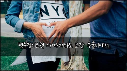 평준정기보험 다따져봐도  보장 수술비에서