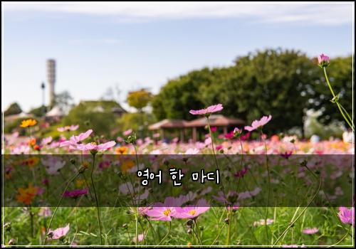 영어 한 마디