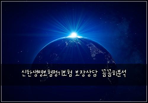 신한생명보험정기보험 보장상담 꼼꼼히분석