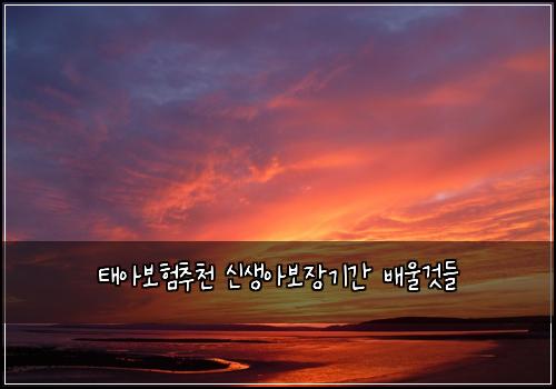태아보험추천 신생아보장기간 배울것들