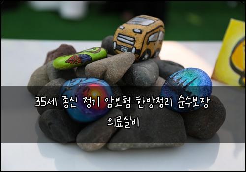 35세 종신 정기 암보험 한방정리  순수보장 의료실비