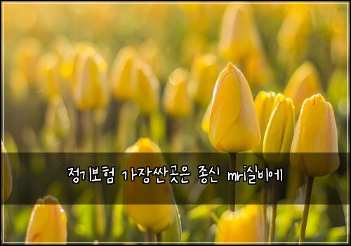 정기보험 가장싼곳은  종신 mri실비에
