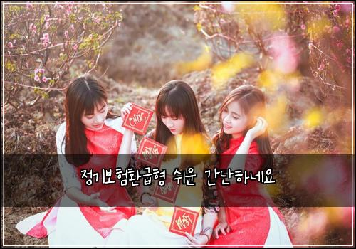 정기보험환급형 쉬운 간단하네요
