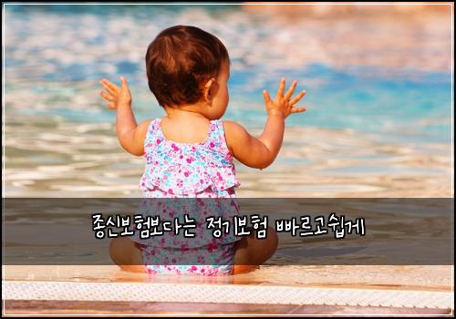종신보험보다는 정기보험 빠르고쉽게