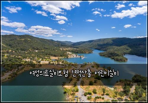 여성의료실비보험 견적산출  어린이실비