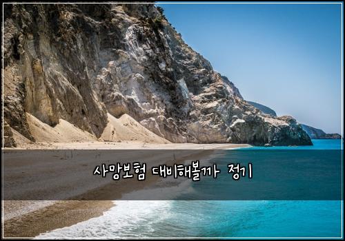 사망보험 대비해볼까  정기