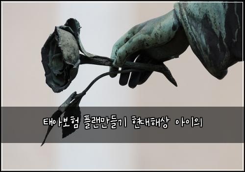 ํ์๋ณดํ ํ๋๋ง๋ค๊ธฐ ํ๋ํด์ ์์ด์