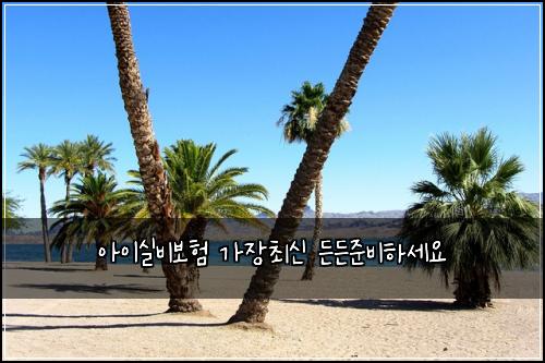 아이실비보험 가장최신  든든준비하세요