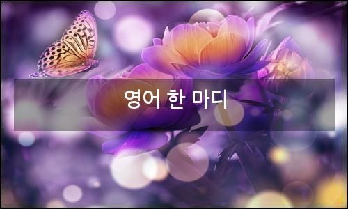 오늘의 이미지