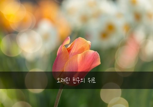 오래된 친구의 위로