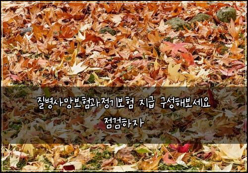 질병사망보험과정기보험 지급 구성해보세요 점검하자