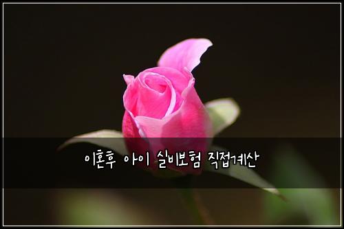 이혼후 아이 실비보험 직접계산 