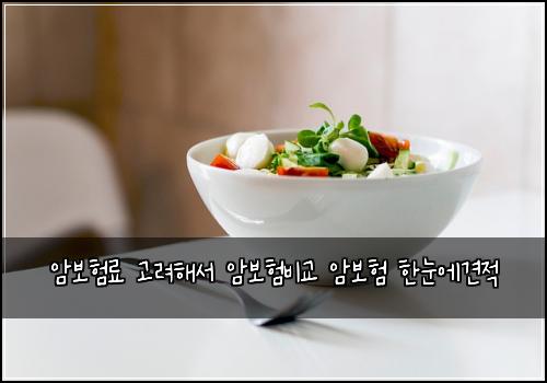 암보험료 고려해서 암보험비교 암보험 한눈에견적