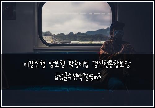 비갱신형 암보험 활용비법  갱신형통합보장 급성골수성백혈병m3