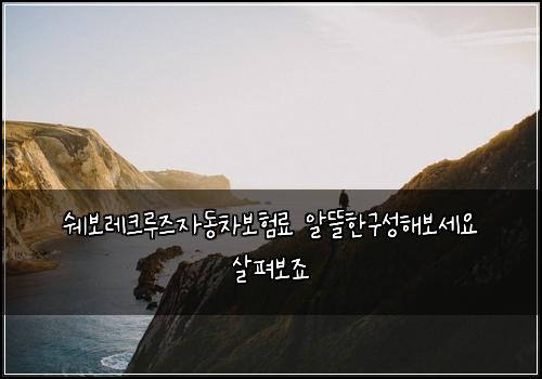 쉐보레크루즈자동차보험료 알뜰한구성해보세요 살펴보죠