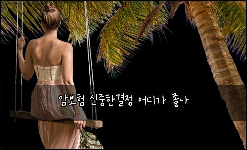 암보험 신중한결정  어디가 좋나