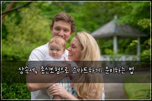 상속세, 종신보험으로 스마트하게 준비하는 법