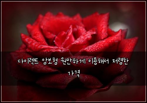 다이렉트 암보험 원만하게  이용해서 저렴한 가격