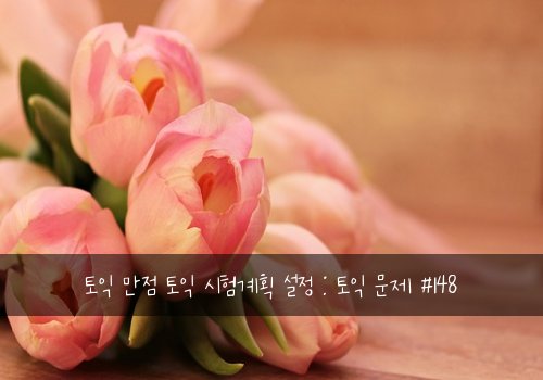 토익 만점 토익 시험계획 설정 : 토익 문제 #148