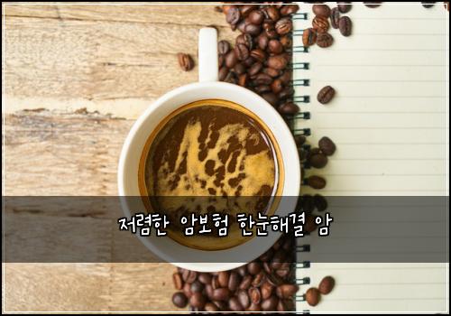 저렴한 암보험 한눈해결  암