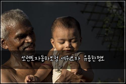 쏘렌토자동차보험 세워보자  유용한정보