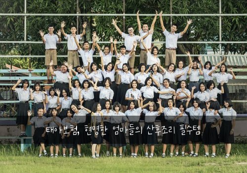  태아보험, 현명한 엄마들의 산후조리 필수템