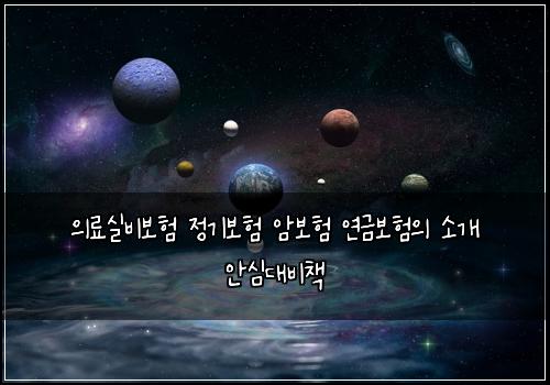 의료실비보험 정기보험 암보험 연금보험의 소개 안심대비책