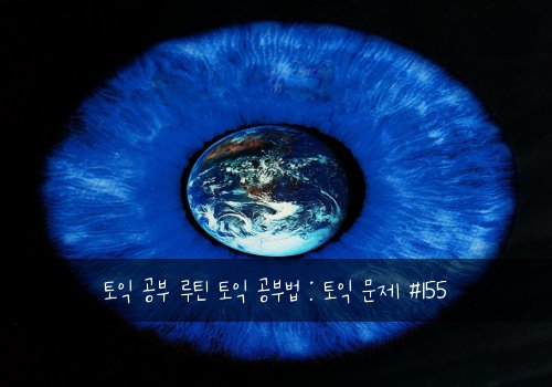 토익 공부 루틴 토익 공부법 : 토익 문제 #155