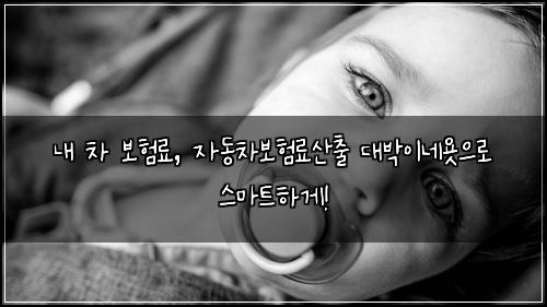  내 차 보험료, 자동차보험료산출 대박이네욧으로 스마트하게!