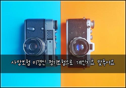 사망보험 미갱신 정기보험으로 계신지요 맞추어요