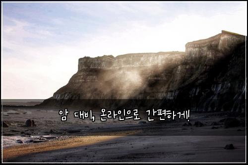 암 대비, 온라인으로 간편하게!