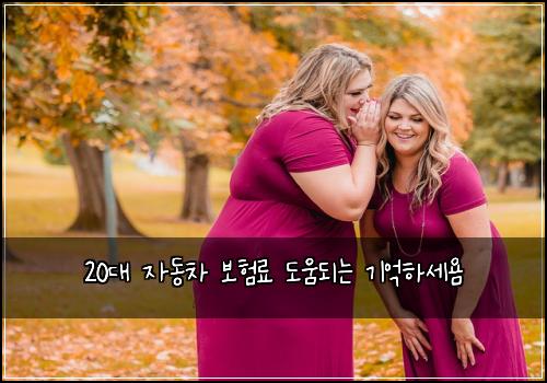 20대 자동차 보험료 도움되는 기억하세욤