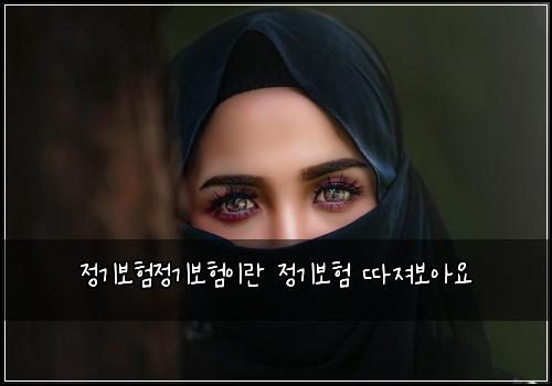 정기보험정기보험이란 정기보험 따져보아요