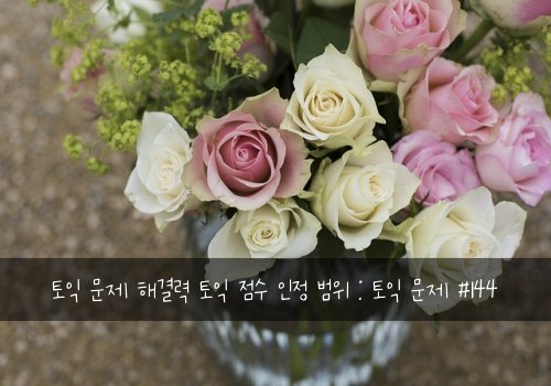 토익 문제 해결력 토익 점수 인정 범위 : 토익 문제 #144