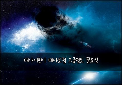 태아어린이 태아보험 고급정보  필요성