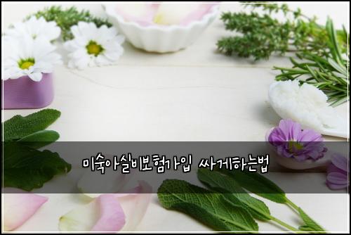 미숙아실비보험가입 싸게하는법