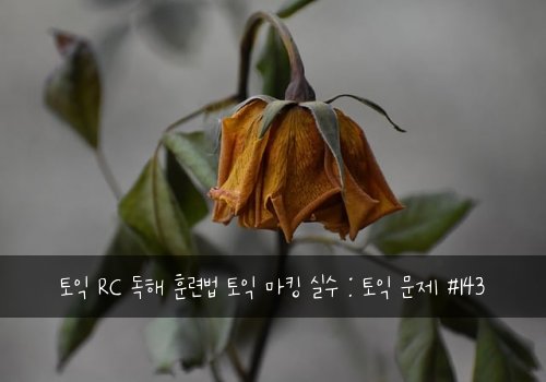 토익 RC 독해 훈련법 토익 마킹 실수 : 토익 문제 #143