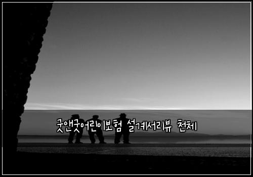 굿앤굿어린이보험 설계서리뷰  천체