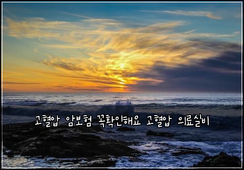 고혈압 암보험 꼭확인해요  고혈압 의료실비