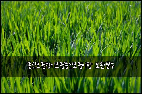 종신보험정기보험종신보험이랑 보완필수