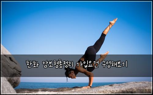 한화 암보험총정리 가입요건 구성해보기