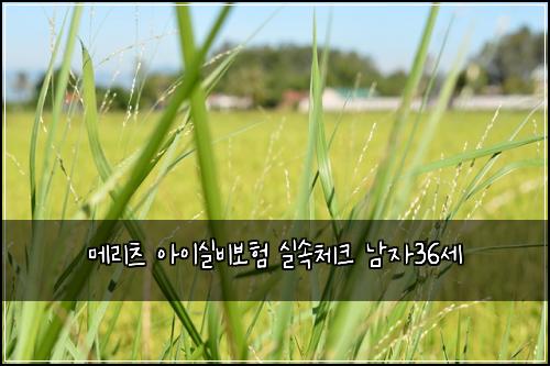 메리츠 아이실비보험 실속체크  남자36세