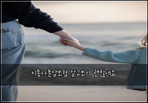 이종사촌암보험 알고보기  괜찮네요