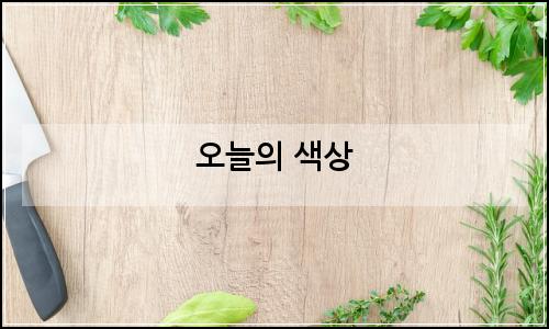 오늘의 이미지