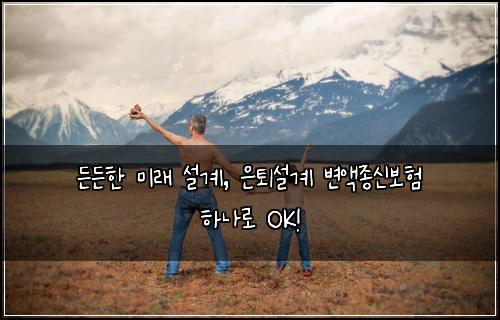  든든한 미래 설계, 은퇴설계 변액종신보험 하나로 OK!