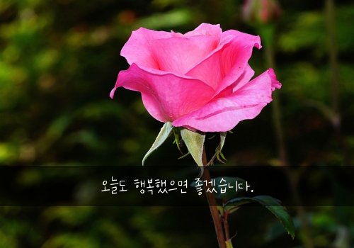 오늘도 행복했으면 좋겠습니다.