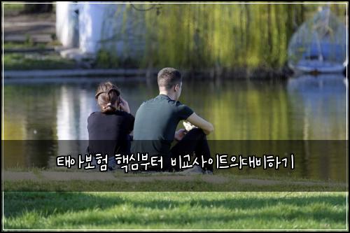 태아보험 핵심부터  비교사이트의대비하기