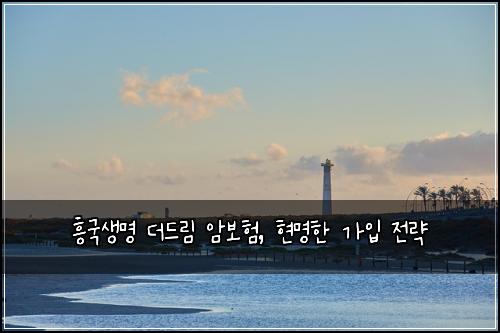  흥국생명 더드림 암보험, 현명한 가입 전략